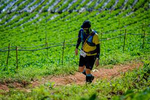 BIB: 3389
                            <button type="button" onclick="openModal(19164774)" class="btn btn-primary btn-sm float-right btn-popup" data-toggle="modal" data-target=".modal-high-quality">
                        <i class="fas fa-shopping-cart"></i> Add to Cart
                    </button>
                                            <button type="button" onclick="isThisMe(19164774, true)" class="btn btn-success btn-sm float-right btn-popup btn-isme hidden" data-toggle="tooltip" data-placement="bottom" title="นี่คือรูปของคุณใช่ไหม คลิกที่นี่เพื่อเอาเข้าอัลบั้ม">
                        <i class="fas fa-plus"></i> Add to album
                    </button>
                    <button type="button" onclick="isThisMe(19164774, false)" class="btn btn-warning btn-sm float-right btn-popup btn-isnotme hidden">
                        <i class="fas fa-ban"></i> Remove from album
                    </button>